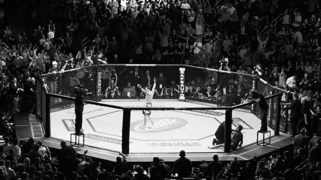 UFC Tickets Fights 2025/2026